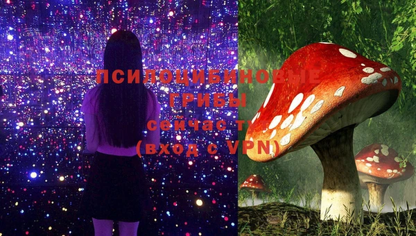 эйфоретик Вязники