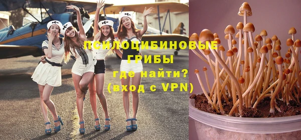 ПСИЛОЦИБИНОВЫЕ ГРИБЫ Вяземский