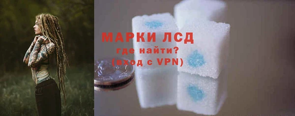 ПСИЛОЦИБИНОВЫЕ ГРИБЫ Вяземский