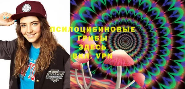ПСИЛОЦИБИНОВЫЕ ГРИБЫ Вяземский