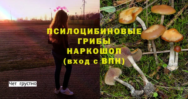 эйфоретик Вязники