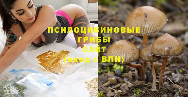 эйфоретик Вязники