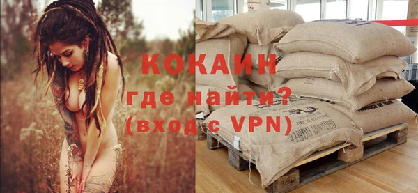 ПСИЛОЦИБИНОВЫЕ ГРИБЫ Вяземский