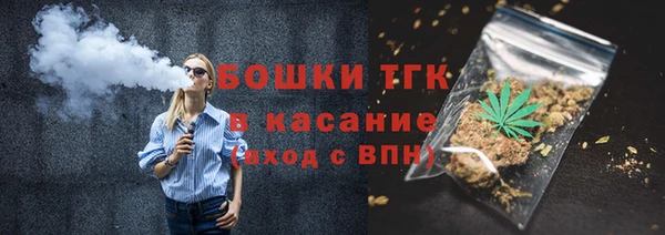ПСИЛОЦИБИНОВЫЕ ГРИБЫ Вяземский
