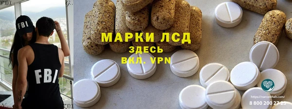 ПСИЛОЦИБИНОВЫЕ ГРИБЫ Вяземский